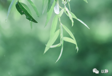 原来，我们所经历的苦难有答案-生命读经 - Living Bible study