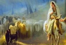 最大的奇迹-生命读经 - Living Bible study