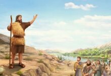 我该如何回应?-生命读经 - Living Bible study