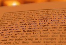 依靠恩典-生命读经 - Living Bible study