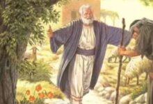 寻找那泉源-生命读经 - Living Bible study