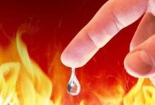 忠心即智慧-生命读经 - Living Bible study