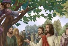 蒙恩，感恩!-生命读经 - Living Bible study