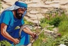 被火烧?结果子?-生命读经 - Living Bible study