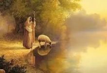 谁是你的牧者?-生命读经 - Living Bible study