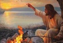 自然与超自然的供应-生命读经 - Living Bible study