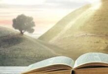 公平?不公平?-生命读经 - Living Bible study