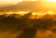 心态远超供物-生命读经 - Living Bible study