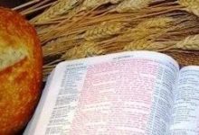 假如你內心膽怯-生命讀經 - Living Bible study