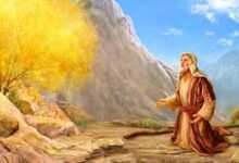 焚而不毁的生命-生命读经 - Living Bible study