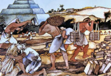 过程与结果-生命读经 - Living Bible study