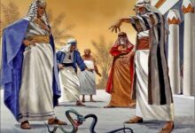 话语的权柄和能力-生命读经 - Living Bible study