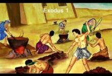 内心有光-生命读经 - Living Bible study