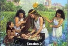 奇妙恩典-生命读经 - Living Bible study