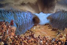 站立得稳-生命读经 - Living Bible study