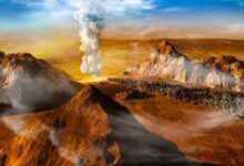 云柱火柱下的军队-生命读经 - Living Bible study