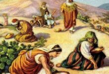 天降吗哪-生命读经 - Living Bible study