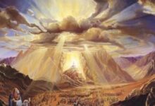 付代价,得荣耀-生命读经 - Living Bible study