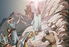 有荣光的生命-生命读经 - Living Bible study