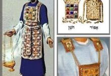 按照神的方式-生命读经 - Living Bible study