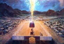 神的家人-生命读经 - Living Bible study