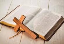 天上人间-生命读经 - Living Bible study