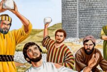 见证的代价-生命读经 - Living Bible study