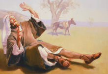 事奉的见证-生命读经 - Living Bible study