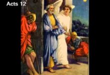 神要救谁就救谁-生命读经 - Living Bible study