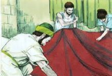 繁星点点,为主发光-生命读经 - Living Bible study