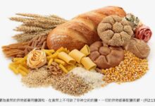 献祭的生命-生命读经 - Living Bible study