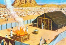 天上的平安-生命读经 - Living Bible study