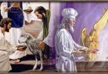 赦罪的血-生命读经 - Living Bible study