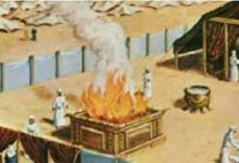 定心丸-生命读经 - Living Bible study