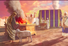 井然有序-生命读经 - Living Bible study