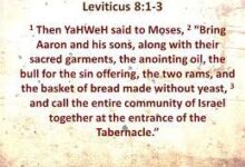 承接圣职-生命读经 - Living Bible study