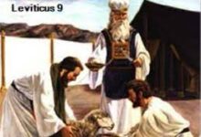 照神所吩咐的-生命读经 - Living Bible study