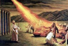 体贴人的神-生命读经 - Living Bible study