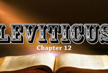 洁净的重要性-生命读经 - Living Bible study