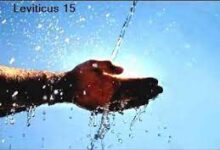 活水来洁净-生命读经 - Living Bible study