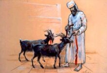 赎罪祭背后神的心意-生命读经 - Living Bible study