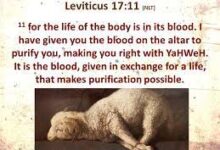 全然献上给神-生命读经 - Living Bible study