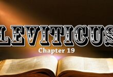 圣洁的生活-生命读经 - Living Bible study