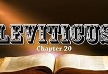 靠圣灵以成圣-生命读经 - Living Bible study