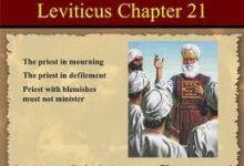 更高的要求-生命读经 - Living Bible study