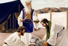 看重细节的神-生命读经 - Living Bible study