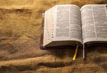 日子与节期-生命读经 - Living Bible study