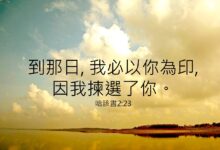 重新建造-生命读经 - Living Bible study