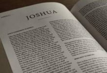 初熟的果子-生命读经 - Living Bible study