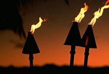 攻破生命的营垒-生命读经 - Living Bible study